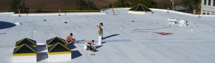 Coating Over Wet Insulation: Do Not — Materials Compared