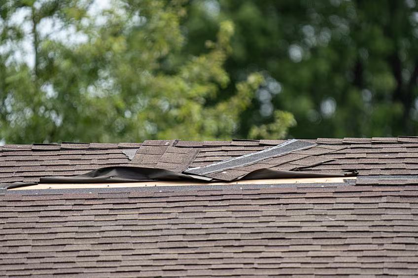 Missing Shingles — Act Now or Wait? — Questions to Ask