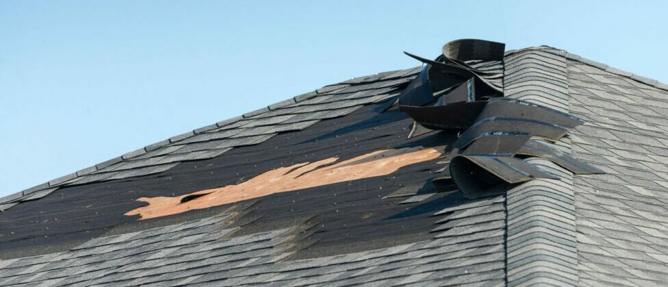 Missing Shingles — Act Now or Wait? — Quick Reference